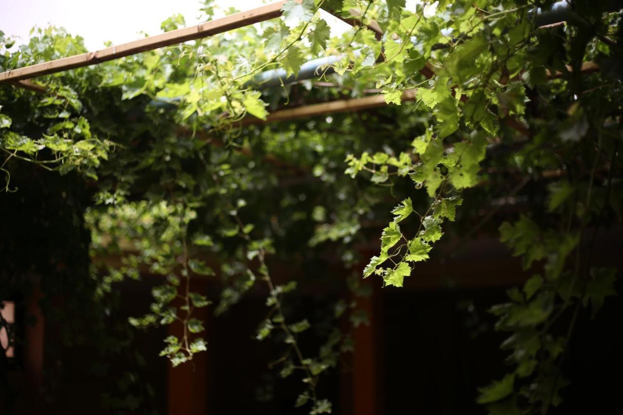 Auberge Jaafar Midelt Exteriér fotografie